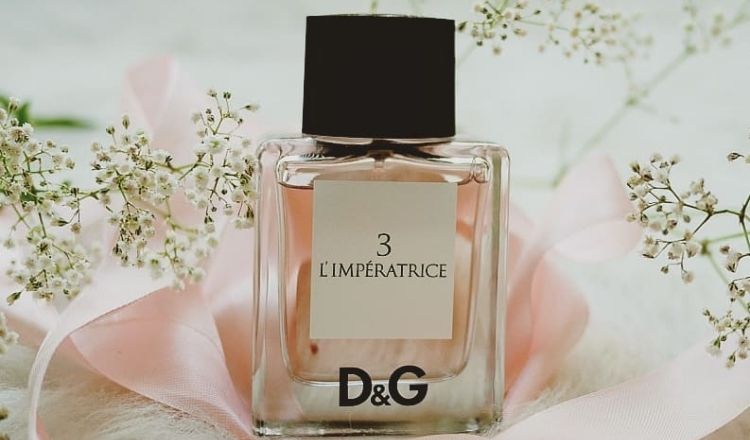 D&G thuộc top nước hoa mùa hè được ưa chuộng nhất hiện nay