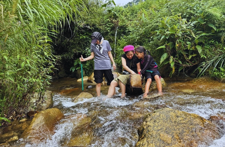 Tắm suối và bắt cá