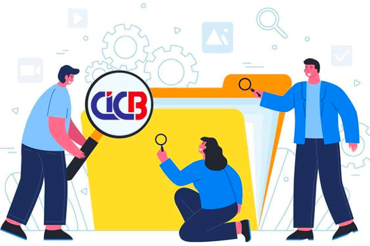 Báo cáo tín dụng từ CIC hiển thị bạn thuộc nhóm nợ nào (1–5) và xác định bạn có bị xếp vào nhóm nợ xấu không