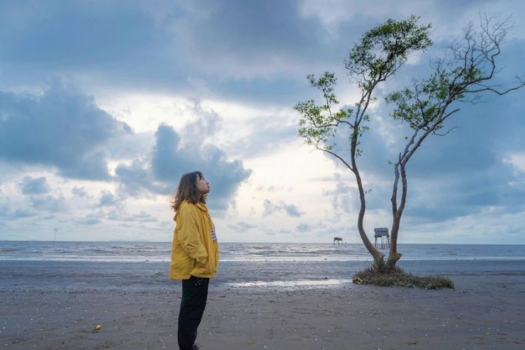 Biển Cần Giờ - Cây cô đơn