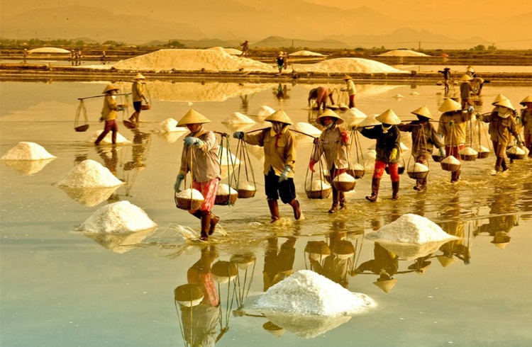 Cánh đồng muối Sa Huỳnh trắng tinh 