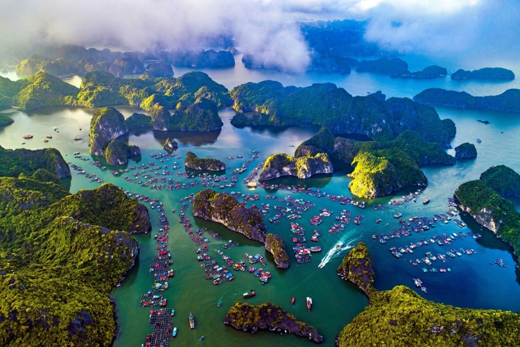 Làng chài cổ Cái Bèo