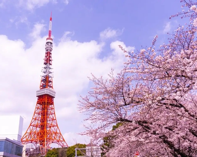 Phí tham quan khi du lịch Nhật Bản tự túc