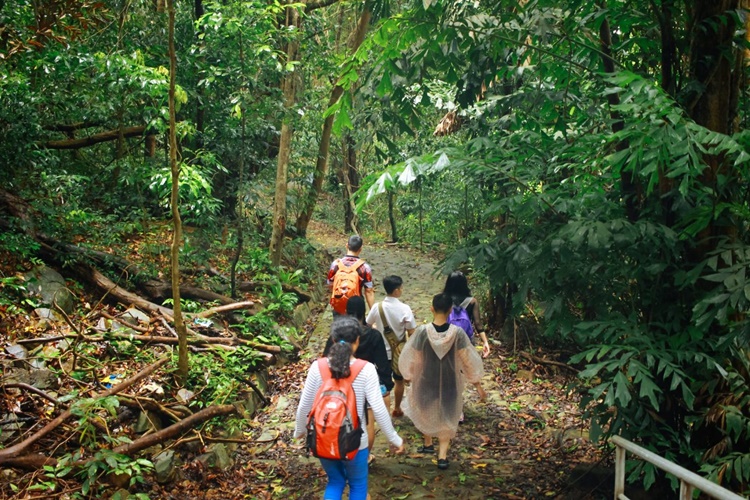 Rừng nguyên sinh Ông Đụng