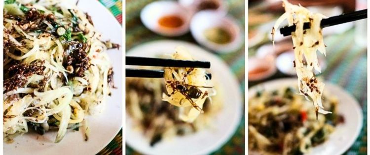 Gỏi kiến vàng đu đủ