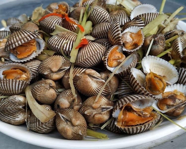 Sò huyết đầm Ô Loan