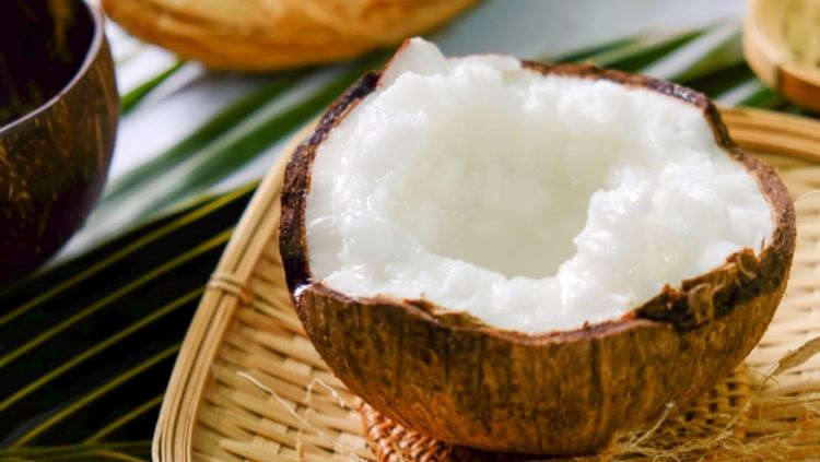 Dừa sáp Cầu Kè