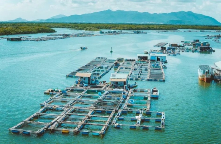 Làng bè Hiếu Long Sơn