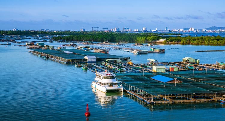 làng bè Long Sơn