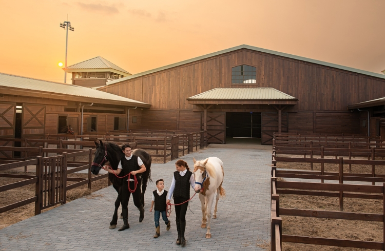 Vinpearl Horse Academy 