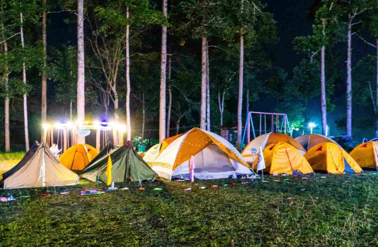 Vườn quốc gia Nam Cát Tiên