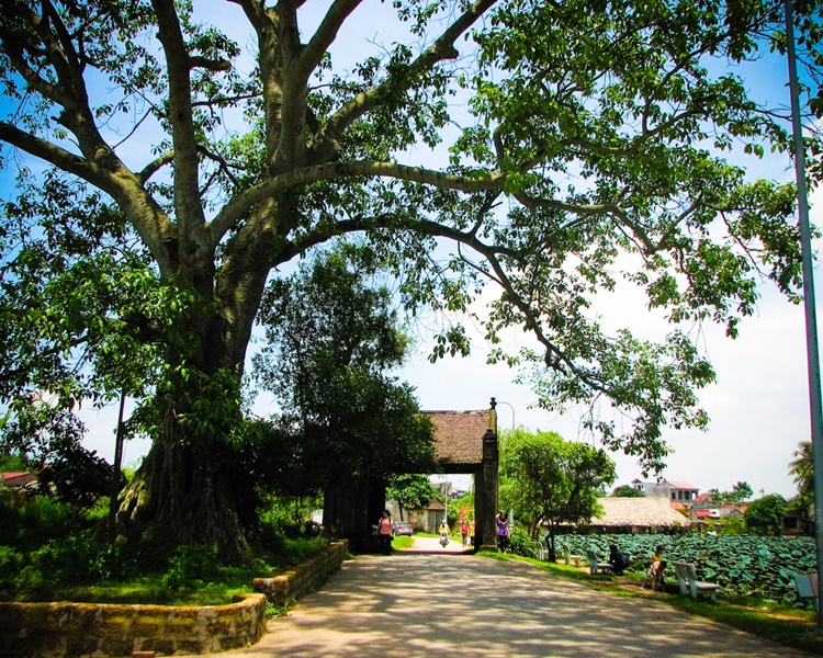 Làng cổ Đường Lâm – Sơn Tây 