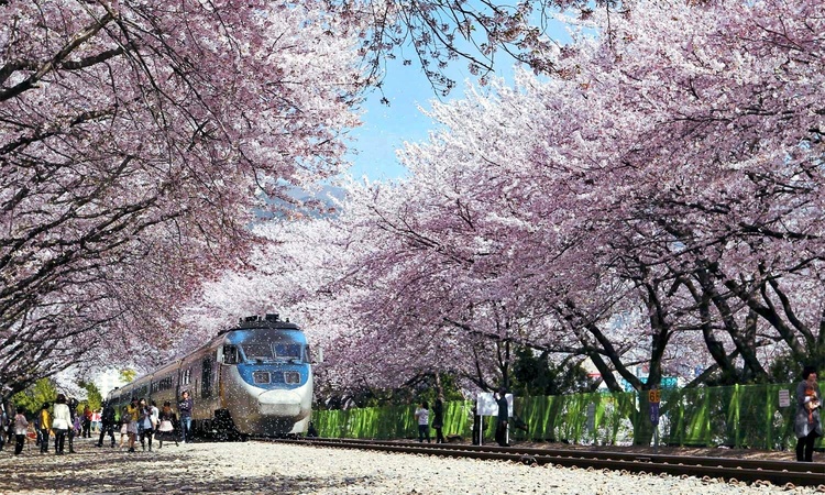 Jinhae