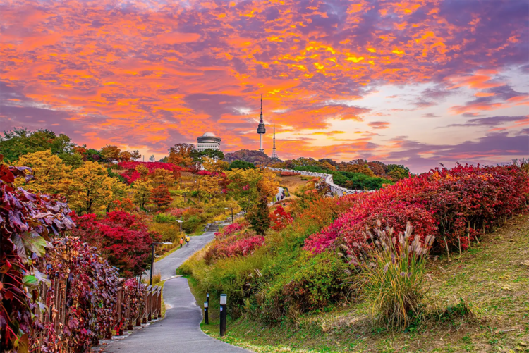 Công viên Namsan