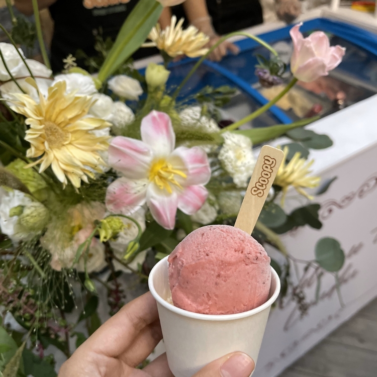 Scoopy Ice Cream