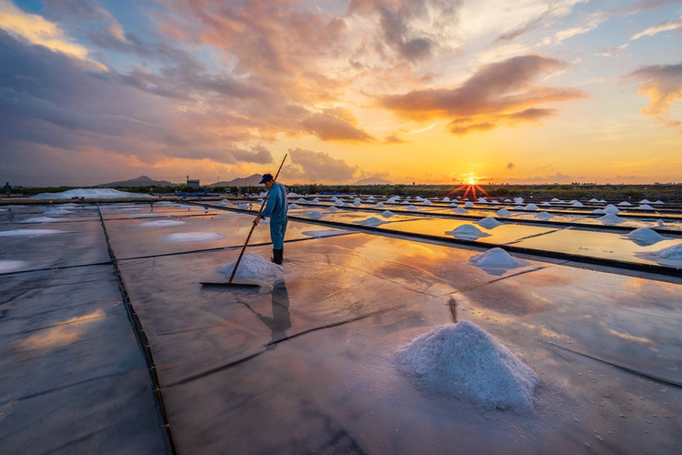 Đồng muối Hòn Khói