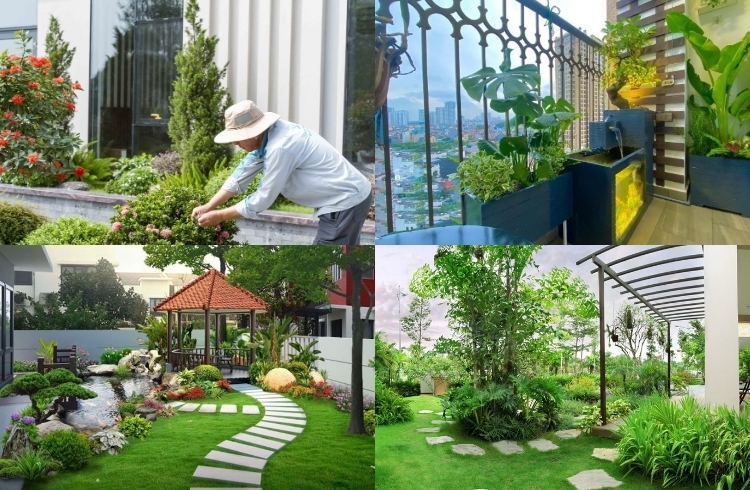 dọn dẹp sân vườn chuẩn bị đón Tết