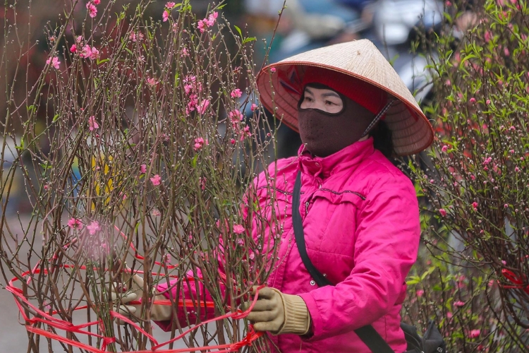 Miền Bắc: Rét đậm, rét khô