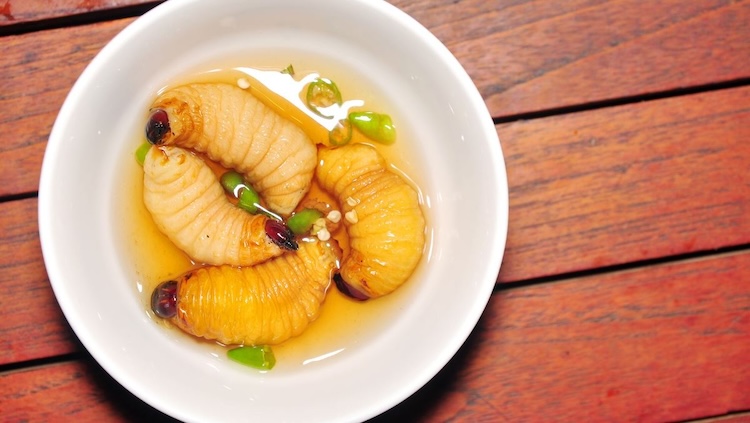 Đuông dừa