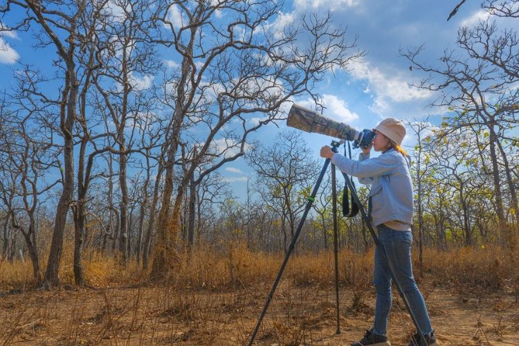 Vườn quốc gia Yok Đôn