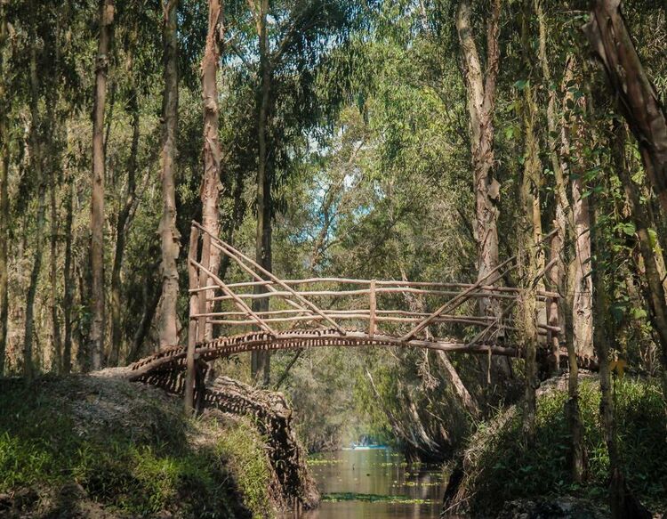 Lâm ngư trường 184