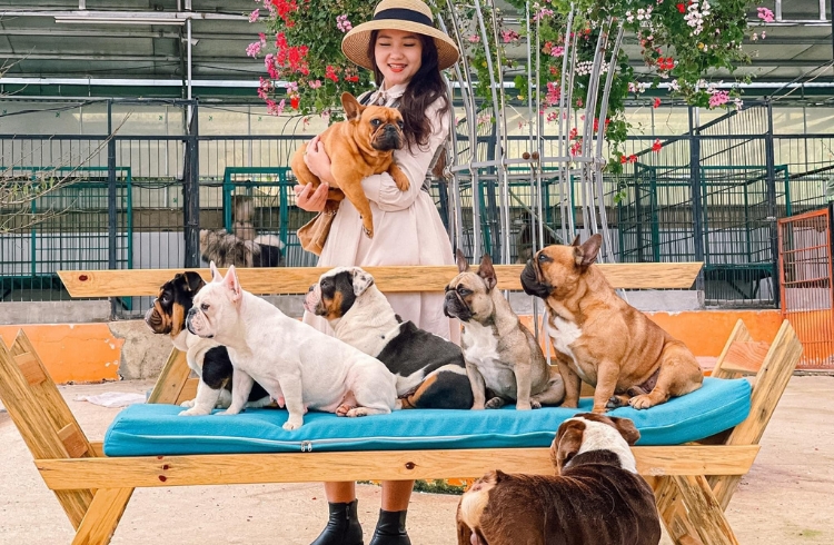 Nông Trại Cún - Puppy Farm
