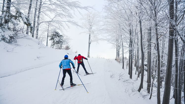 Khu trượt tuyết Pyeongchang