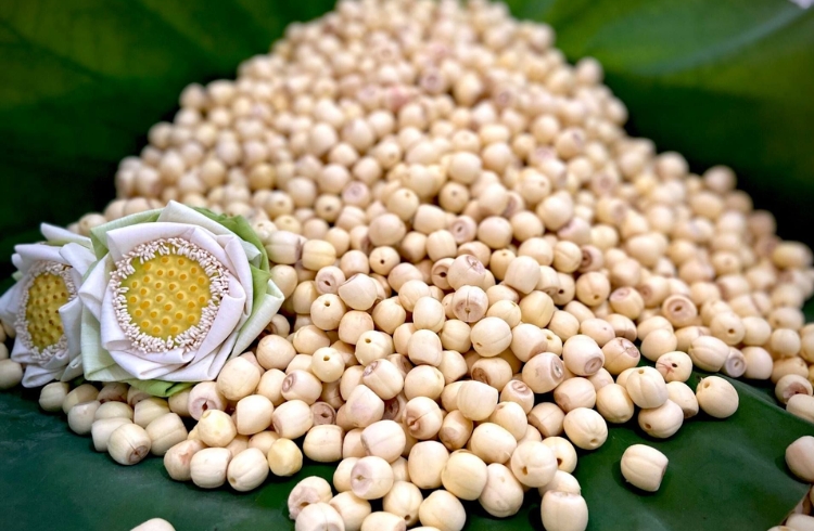 Hạt sen Huế