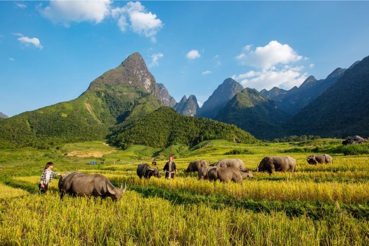 Du lịch Lai Châu mùa nào đẹp nhất?