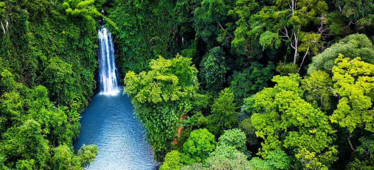 Khu du lịch thác Pa Sỹ