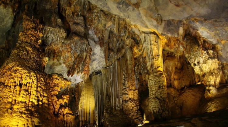 Ngũ Động Bản Ôn