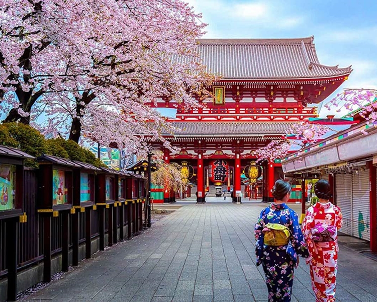 Du lịch Nhật Bản mùa nào đẹp?