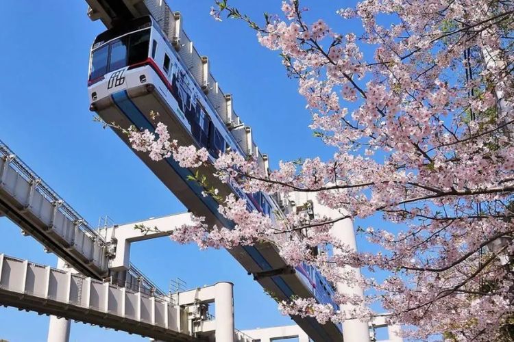 Phương tiện di chuyển ở Nhật