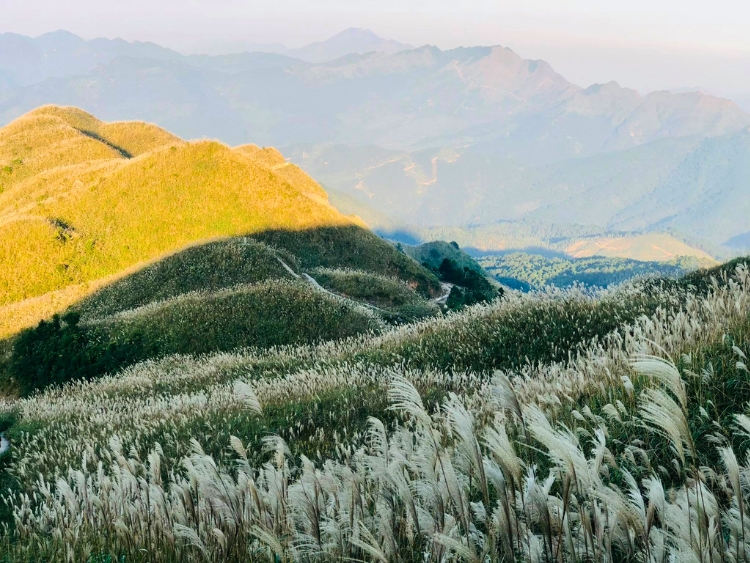 Bình Liêu