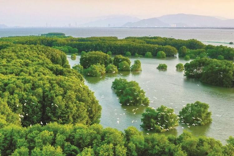 Đầm Thị Nại