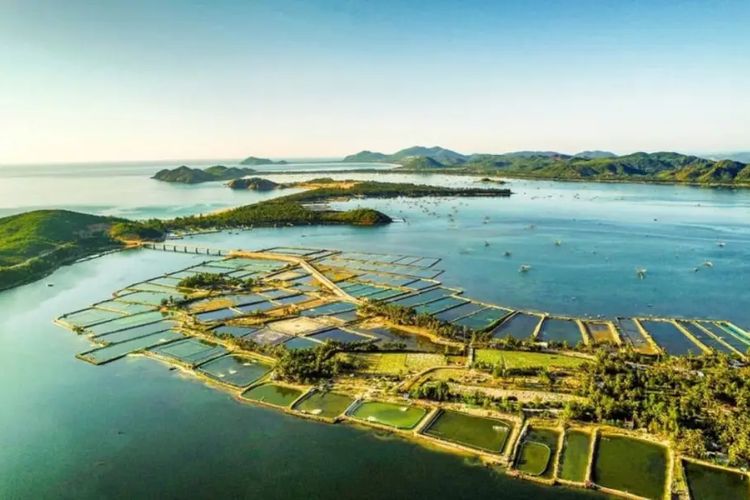 Đầm Ô Loan