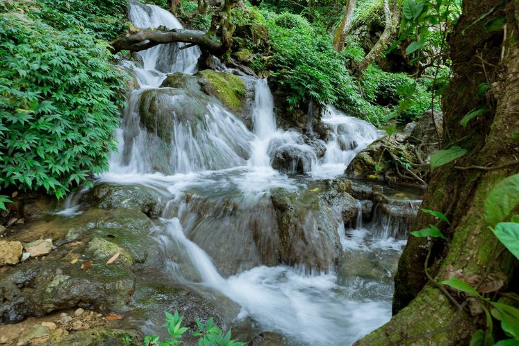 Hang Phượng Hoàng – Suối Mỏ Gà kỳ vĩ