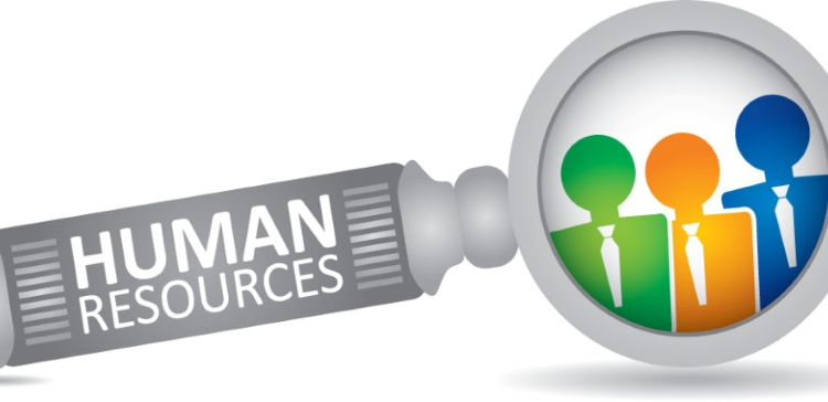 Thẩm định nguồn nhân lực (Human Resources Due Diligence)