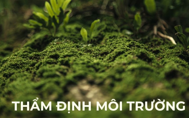 Thẩm định môi trường (Environmental Due Diligence)