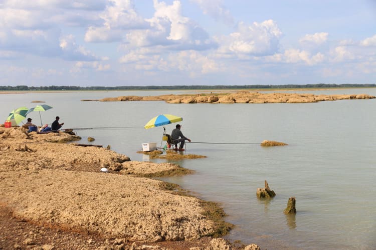 Hoạt động câu cá, khám phá thiên nhiên