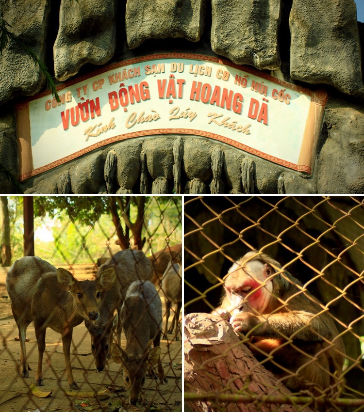 Tham quan vườn động vật hoang dã
