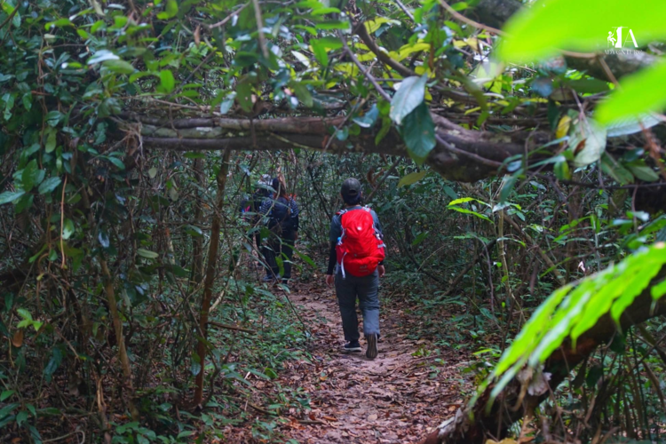 Trekking xuyên rừng Mã Đà