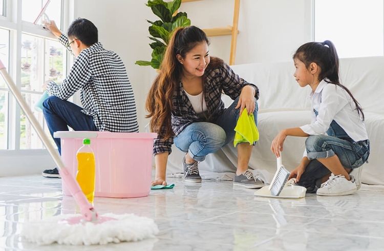 Dọn dẹp, trang trí nhà cửa