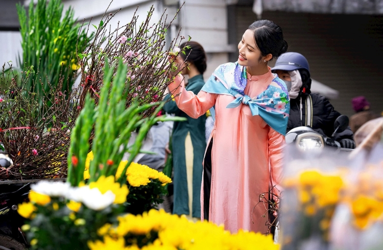 Chơi hoa dịp Tết, mang sắc xuân vào từng góc nhà