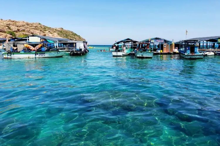 Tắm biển