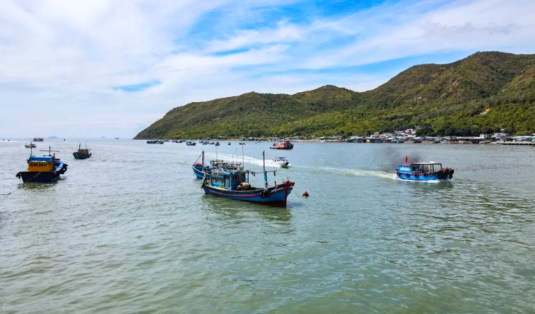 Đôi nét về Hòn Rớ