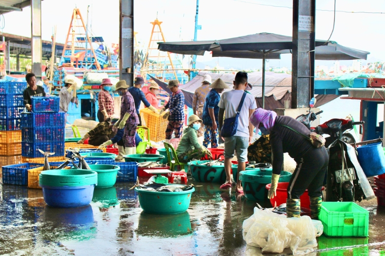 Mua hải sản tươi sống tại cảng