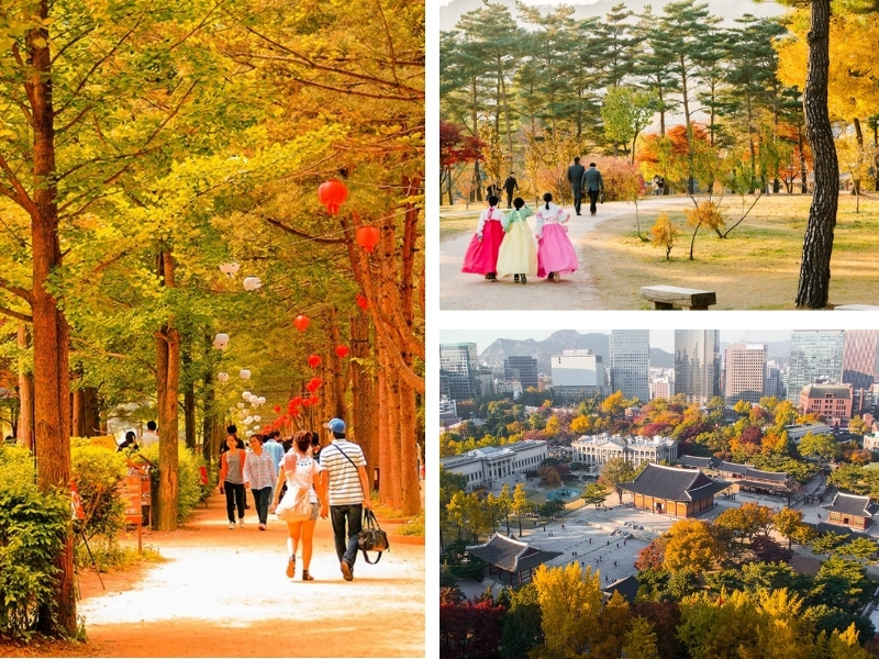 Mùa thu: lá đỏ Nami, Gyeongju
