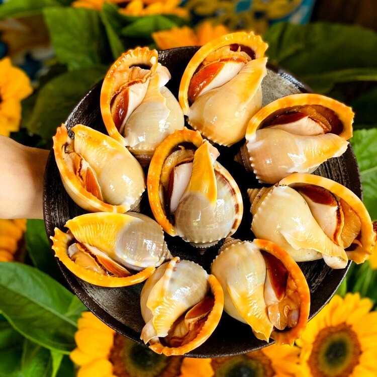 Ốc Vi Sài Gòn hấp dẫn thực khách bởi cách chế biến đậm phong cách miền Nam