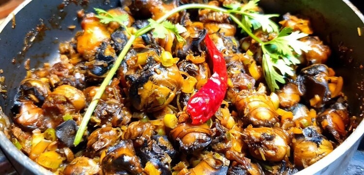 Ốc Hân hấp dẫn với những món ốc xào lạ miệng